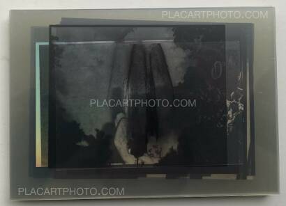 Chan Wai Kwong,Incubation (Signed) Chan Wai Kwong,Incubation (Signed)