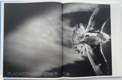 Eamonn Doyle,ONE (SIGNED) Eamonn Doyle,ONE (SIGNED)