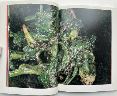 Nobuyoshi Araki,The Banquet