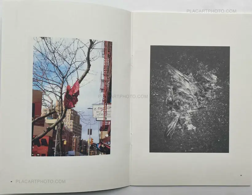 Collective – JP_ EN Issue.1 & Issue.2