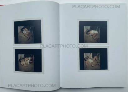 Alan Schaefer,APRIL DAWN ALISON Alan Schaefer,APRIL DAWN ALISON