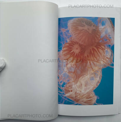 Tokiko Suzuki,THE JELLY FISH Tokiko Suzuki,THE JELLY FISH