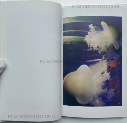 Tokiko Suzuki,THE JELLY FISH Tokiko Suzuki,THE JELLY FISH