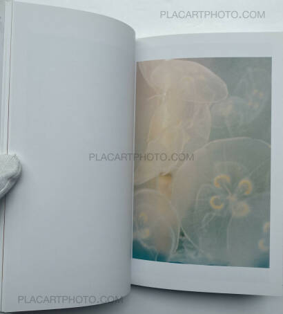 Tokiko Suzuki,THE JELLY FISH Tokiko Suzuki,THE JELLY FISH