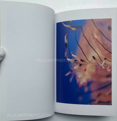 Tokiko Suzuki,THE JELLY FISH Tokiko Suzuki,THE JELLY FISH
