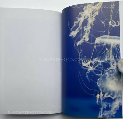 Tokiko Suzuki,THE JELLY FISH Tokiko Suzuki,THE JELLY FISH