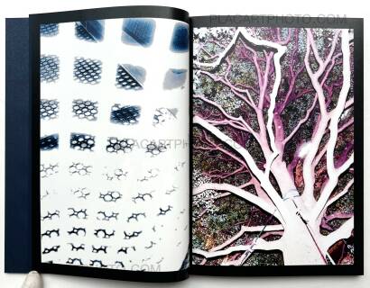 Kyosei Yoshiike,SALVAGE (Signed and numbered) Kyosei Yoshiike,SALVAGE (Signed and numbered)