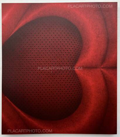 Chan Wai Kwong,She's Lost Control (Signed) Chan Wai Kwong,She's Lost Control (Signed)