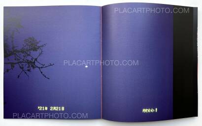 Chan Wai Kwong,She's Lost Control (Signed) Chan Wai Kwong,She's Lost Control (Signed)