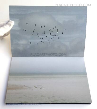 Satoko Nema,Paradigm (Signed) Satoko Nema,Paradigm (Signed)