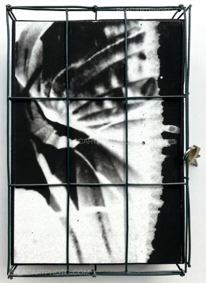 Alyssa Warren,HOSTA (PROTOTYPE VERSION) Alyssa Warren,HOSTA (PROTOTYPE VERSION)