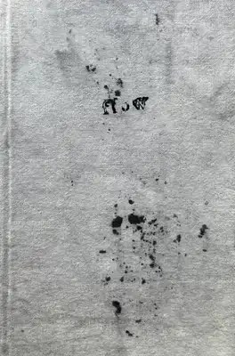 Mariia Ermolenko – Flow (Numbered, edt of 50)