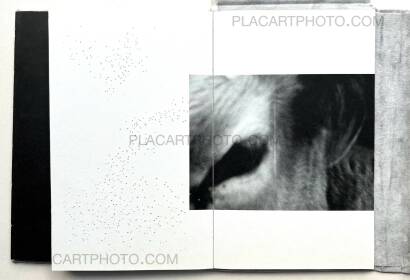 Mariia Ermolenko,Flow (Numbered, edt of 50) Mariia Ermolenko,Flow (Numbered, edt of 50)