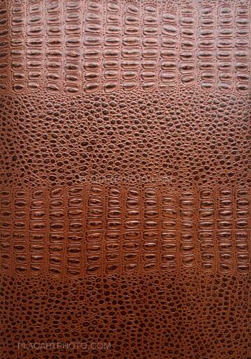 Jean-Marc Caimi & Valentina Piccinni,Umana Natura (Print B, edt 6/6, Brown cover) Jean-Marc Caimi & Valentina Piccinni,Umana Natura (Print B, edt 6/6, Brown cover)