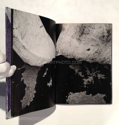 Yasushi Sugino,Shinshoku Fukei / Impressive Landscape Yasushi Sugino,Shinshoku Fukei / Impressive Landscape