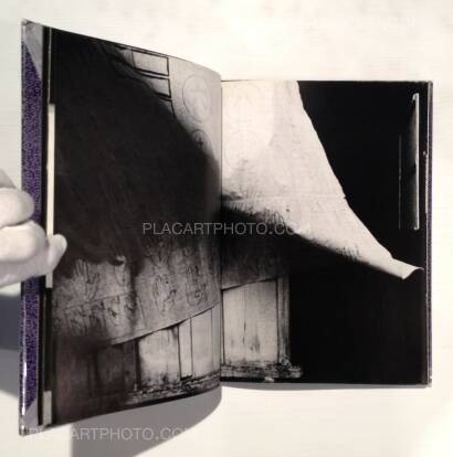 Yasushi Sugino,Shinshoku Fukei / Impressive Landscape Yasushi Sugino,Shinshoku Fukei / Impressive Landscape