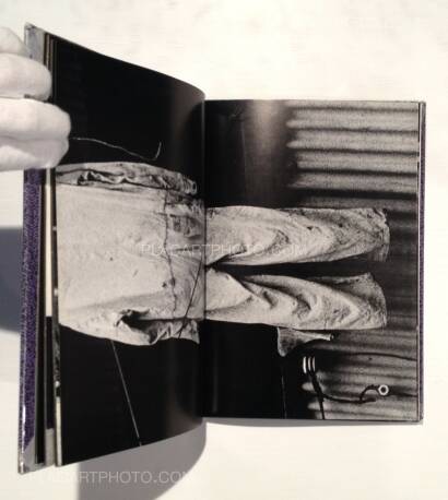 Yasushi Sugino,Shinshoku Fukei / Impressive Landscape Yasushi Sugino,Shinshoku Fukei / Impressive Landscape