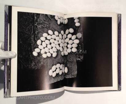 Yasushi Sugino,Shinshoku Fukei / Impressive Landscape Yasushi Sugino,Shinshoku Fukei / Impressive Landscape