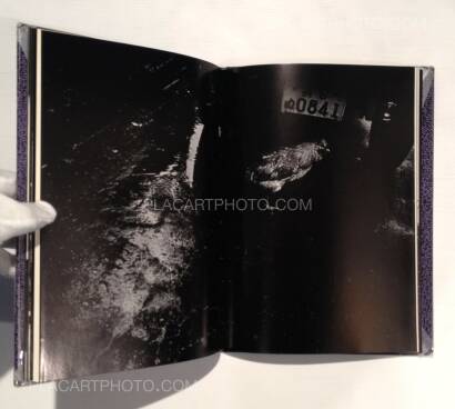 Yasushi Sugino,Shinshoku Fukei / Impressive Landscape Yasushi Sugino,Shinshoku Fukei / Impressive Landscape