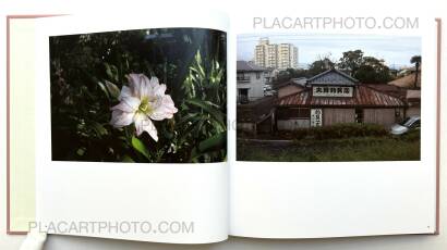 Atsushi Fujiwara,Sakura River (Special edition SE#16)   Atsushi Fujiwara,Sakura River (Special edition SE#16)