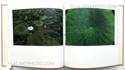 Atsushi Fujiwara,Sakura River (Special edition SE#16)   Atsushi Fujiwara,Sakura River (Special edition SE#16)