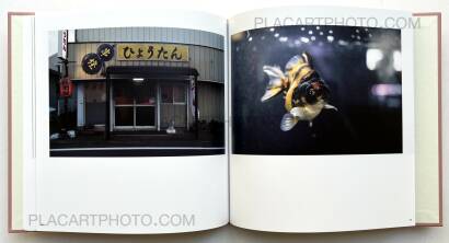 Atsushi Fujiwara,Sakura River (Special edition SE#16)   Atsushi Fujiwara,Sakura River (Special edition SE#16)