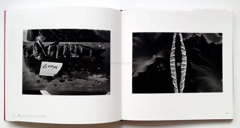 Issei Suda – Early Works 1970-1975 (SIGNED EDT A.P.)