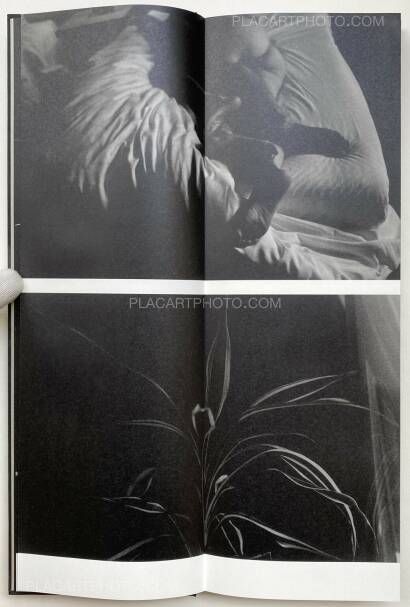 Sakiko Nomura,Fate in Spring (Signed copy) Sakiko Nomura,Fate in Spring (Signed copy)