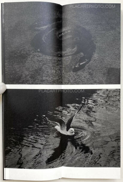 Sakiko Nomura,Fate in Spring (Signed copy) Sakiko Nomura,Fate in Spring (Signed copy)