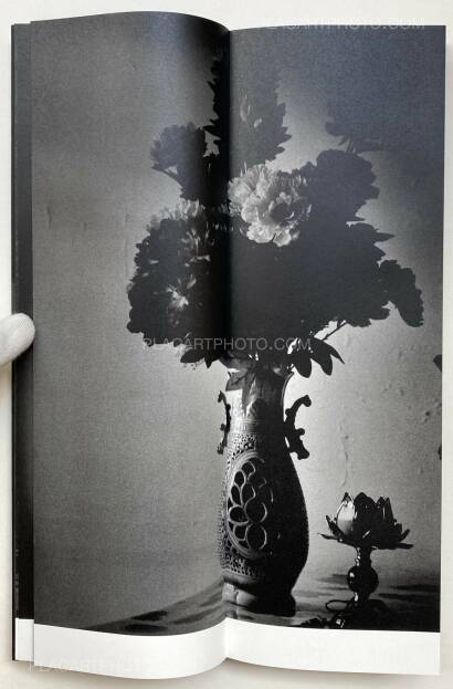 Sakiko Nomura,Fate in Spring (Signed copy) Sakiko Nomura,Fate in Spring (Signed copy)