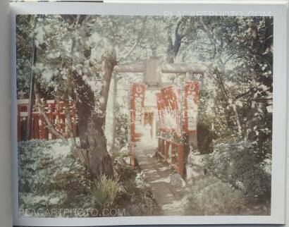 Risaku Suzuki,Torii