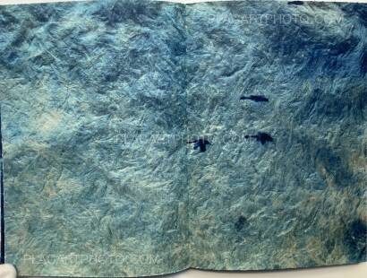 Mika Horie, Air, Flowers and Colours (SIGNED, LTD EDT) Mika Horie, Air, Flowers and Colours (SIGNED, LTD EDT)