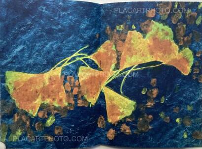 Mika Horie, Air, Flowers and Colours (SIGNED, LTD EDT) Mika Horie, Air, Flowers and Colours (SIGNED, LTD EDT)