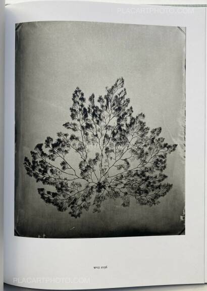 Steffen Diemer,Wakame (LTD EDT) Steffen Diemer,Wakame (LTD EDT)
