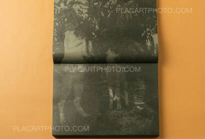 JT,Wild Grass JT,Wild Grass