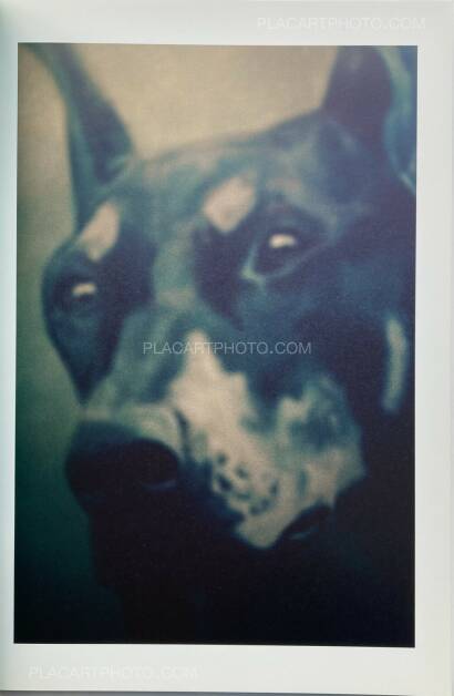 Arnaud Pyvka,Terrestre Arnaud Pyvka,Terrestre