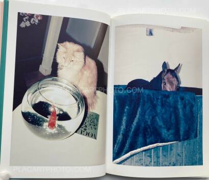 Arnaud Pyvka,Terrestre Arnaud Pyvka,Terrestre