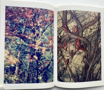 Arnaud Pyvka,Terrestre Arnaud Pyvka,Terrestre