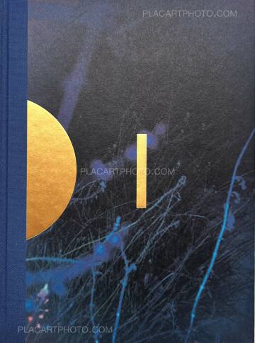 Paul Cupido,DRIFTING  STONES (SIGNED) Paul Cupido,DRIFTING  STONES (SIGNED)