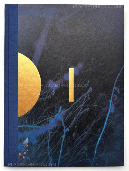 Paul Cupido,DRIFTING  STONES (SIGNED) Paul Cupido,DRIFTING  STONES (SIGNED)