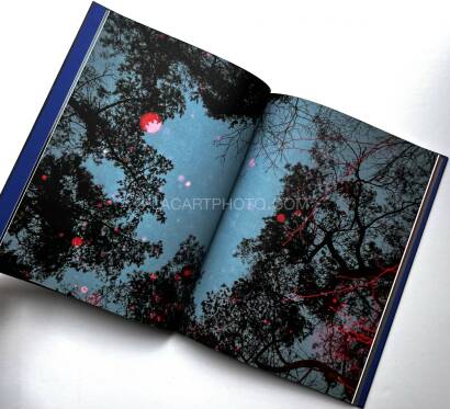 Paul Cupido,DRIFTING  STONES (SIGNED) Paul Cupido,DRIFTING  STONES (SIGNED)