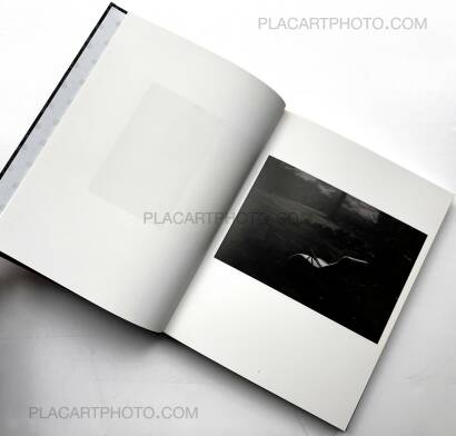 Léonie Hampton,In the Shadow of Things (Signed) Léonie Hampton,In the Shadow of Things (Signed)