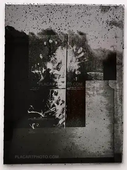  Vincent Jendly,ONE MILLIMETER OF BLACK DIRT AND A VEIL OF DEAD COWS (Signed)
