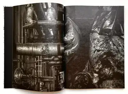  Vincent Jendly,ONE MILLIMETER OF BLACK DIRT AND A VEIL OF DEAD COWS (Signed)