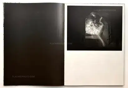  Vincent Jendly,ONE MILLIMETER OF BLACK DIRT AND A VEIL OF DEAD COWS (Signed)