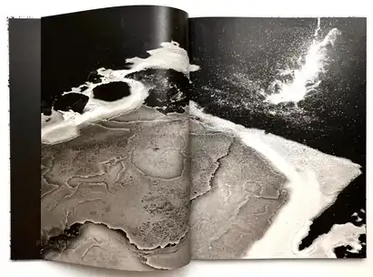  Vincent Jendly,ONE MILLIMETER OF BLACK DIRT AND A VEIL OF DEAD COWS (Signed)