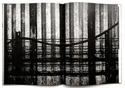  Vincent Jendly,ONE MILLIMETER OF BLACK DIRT AND A VEIL OF DEAD COWS (Signed)