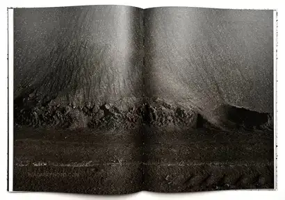  Vincent Jendly,ONE MILLIMETER OF BLACK DIRT AND A VEIL OF DEAD COWS (Signed)