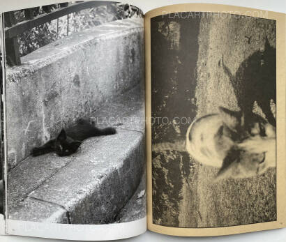 Nobuyoshi Araki,Tokyo Neko Machi (Living Cats in Tokyo) (WITH OBI) Nobuyoshi Araki,Tokyo Neko Machi (Living Cats in Tokyo) (WITH OBI)