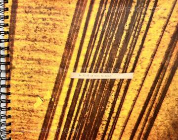 Robin Maddock,In filth it will be found (UNIQUE COPY) Robin Maddock,In filth it will be found (UNIQUE COPY)